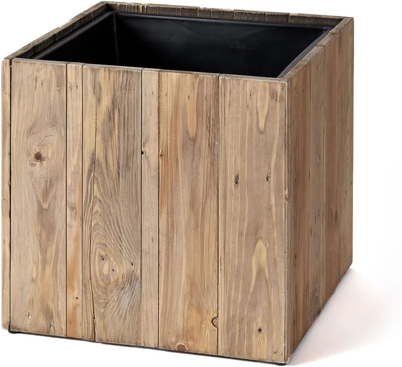 アガベ チタノタ 海王 ウッドプランター (ハードウッド製) セット①